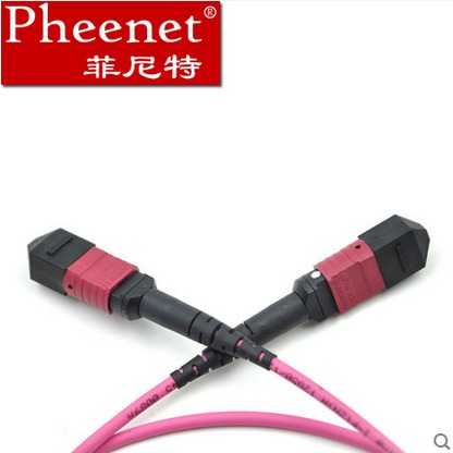 MTP/MPO分支光纤跳线