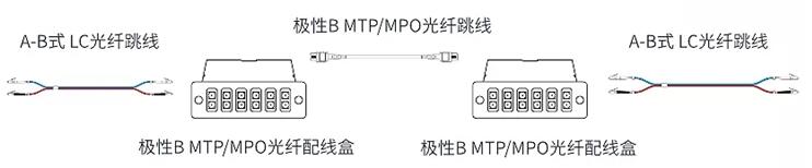MTP主干光纤跳线