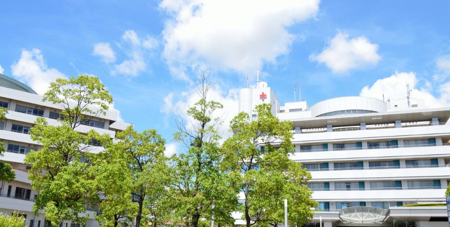 光纤跳线